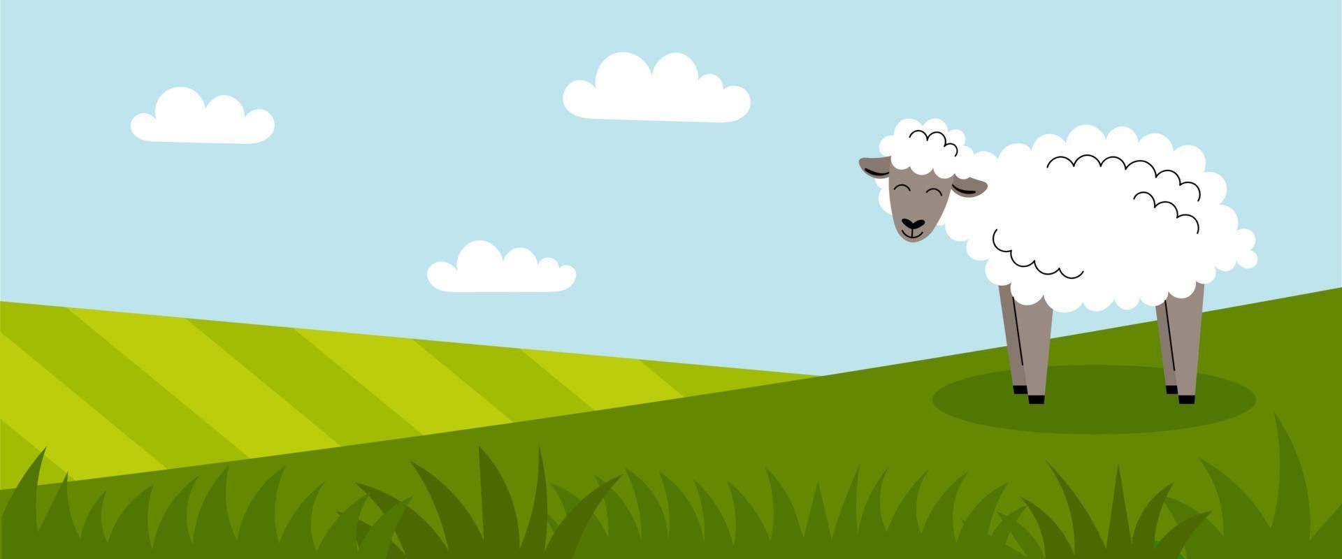 A cute white sheep stands on a green meadow. Farm animals. Summer panorama with a field. Place for your text. Flat cartoon color illustration vector