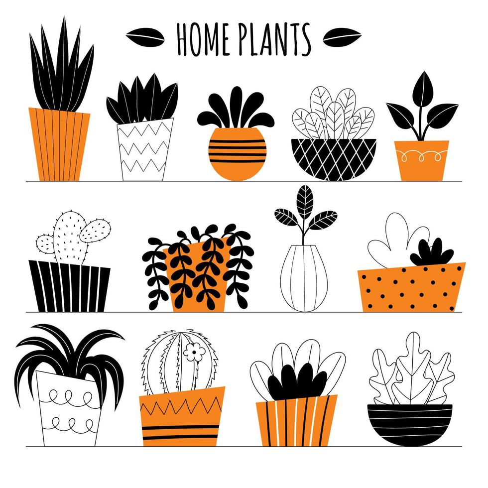 conjunto de diez plantas interiores vectoriales. flores en macetas en los estantes. plantas caseras estilizadas. decoración del hogar e interiorismo. suculentas, monstera, cactus. ilustración aislada sobre fondo blanco. vector