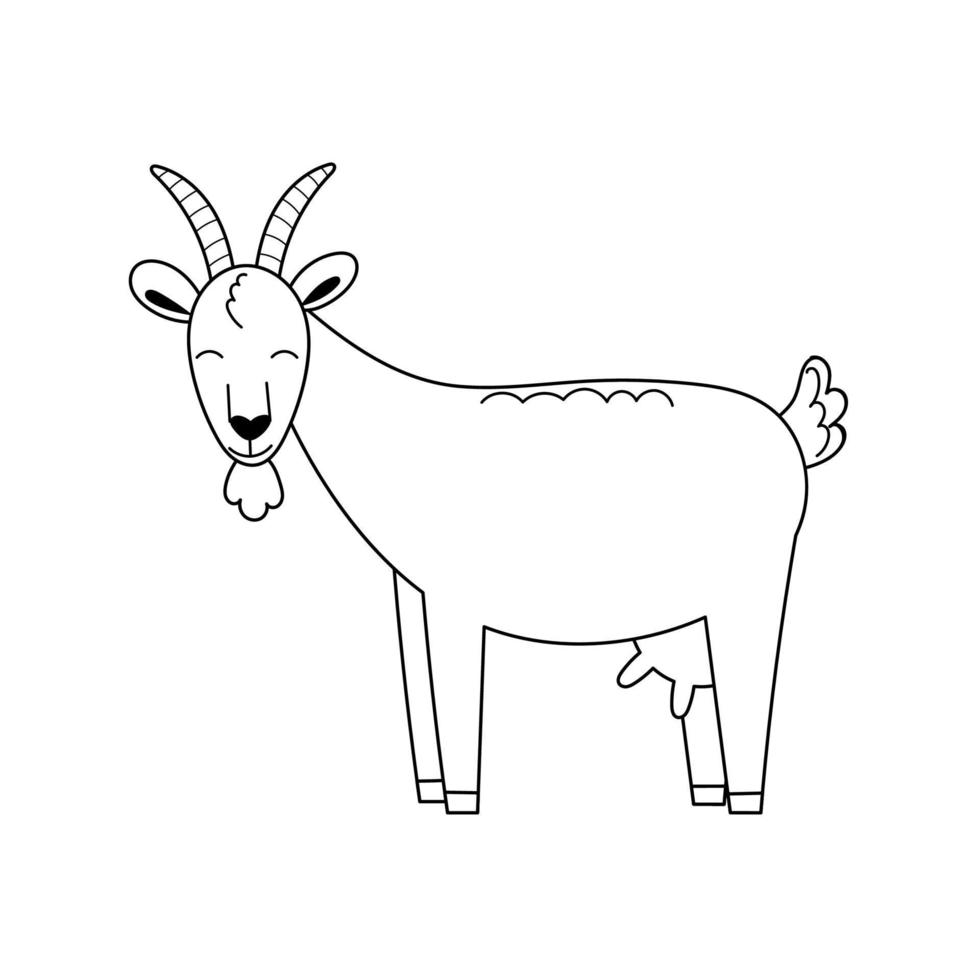 Cute contour doodle goat. Goat milk. Farm animals and birds.Illustration for childrens coloring book. Vector isolated on white background