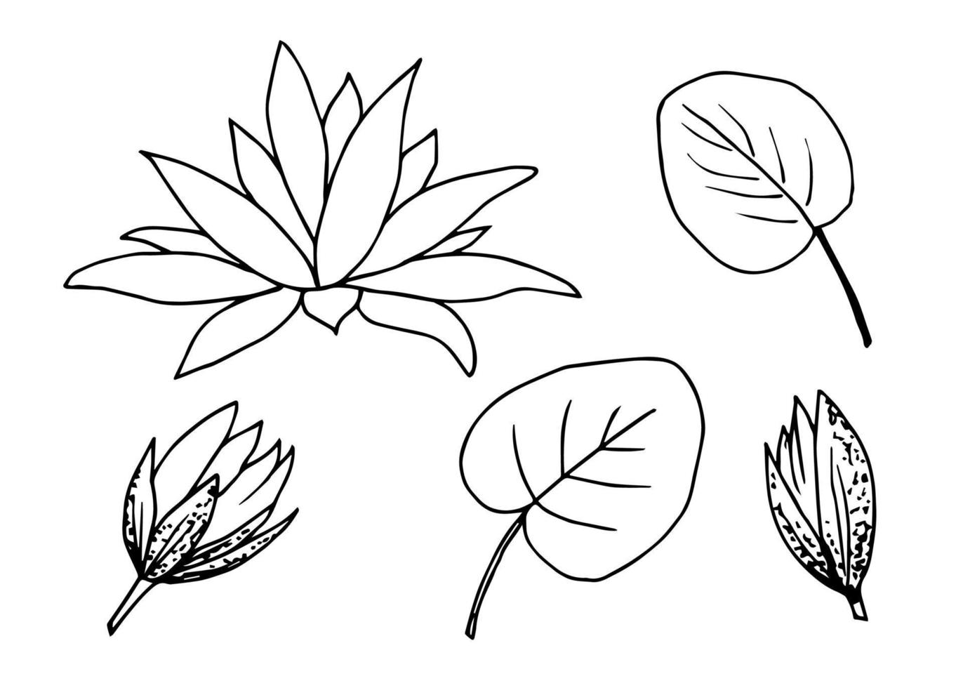 Simple ink vector drawing. Black contour of a water lily flower, lotus, leaf, bud. Set of floral elements.