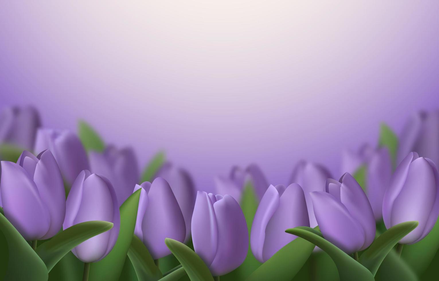 Realistic 3d tulip flowers on purple background. Vector illustration