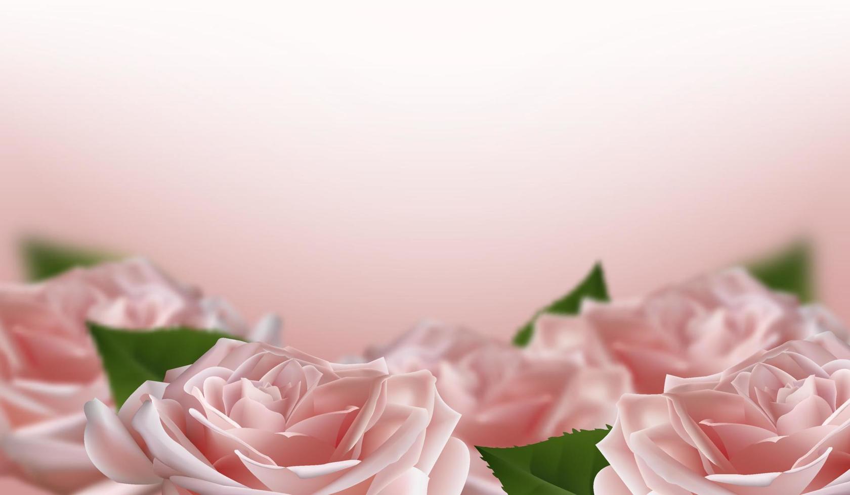 Realistic pink 3d rose flowers on white background. Vector illustration