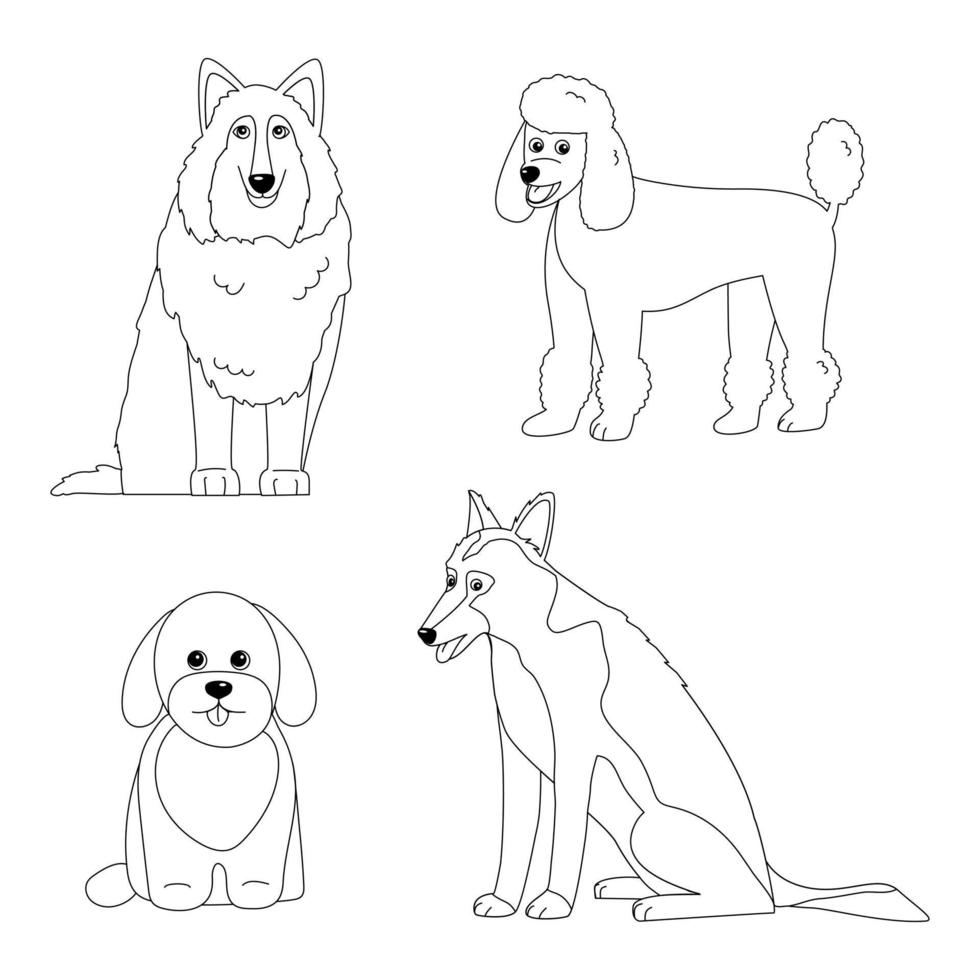 Maltipoo, shepherd, poodle and collie dogs colouring page. Outline vector illustration