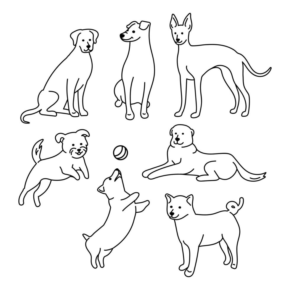 Set of different dogs. Line art vector