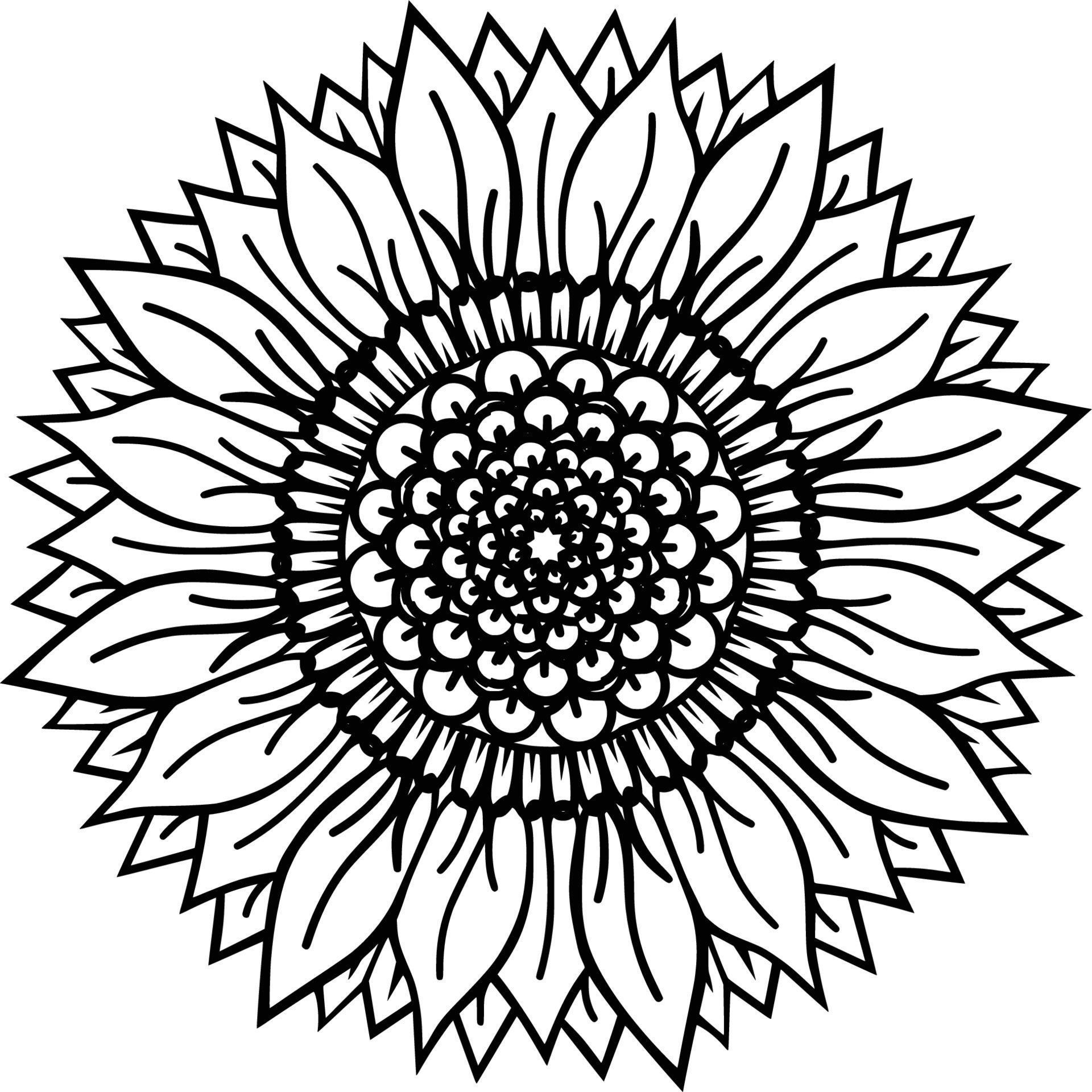 Sunflower mandala, design for mugs, , tshirt 7534764 Vector Art at Vecteezy