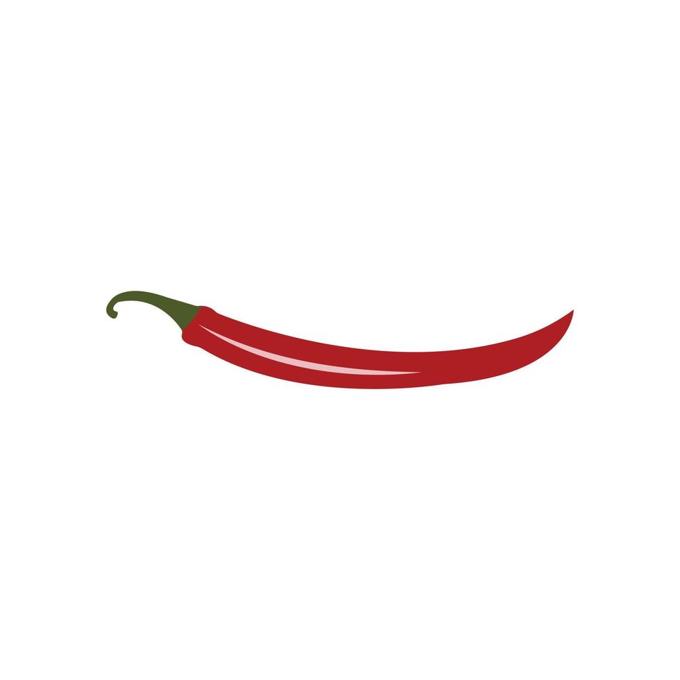 fresh red chili vector