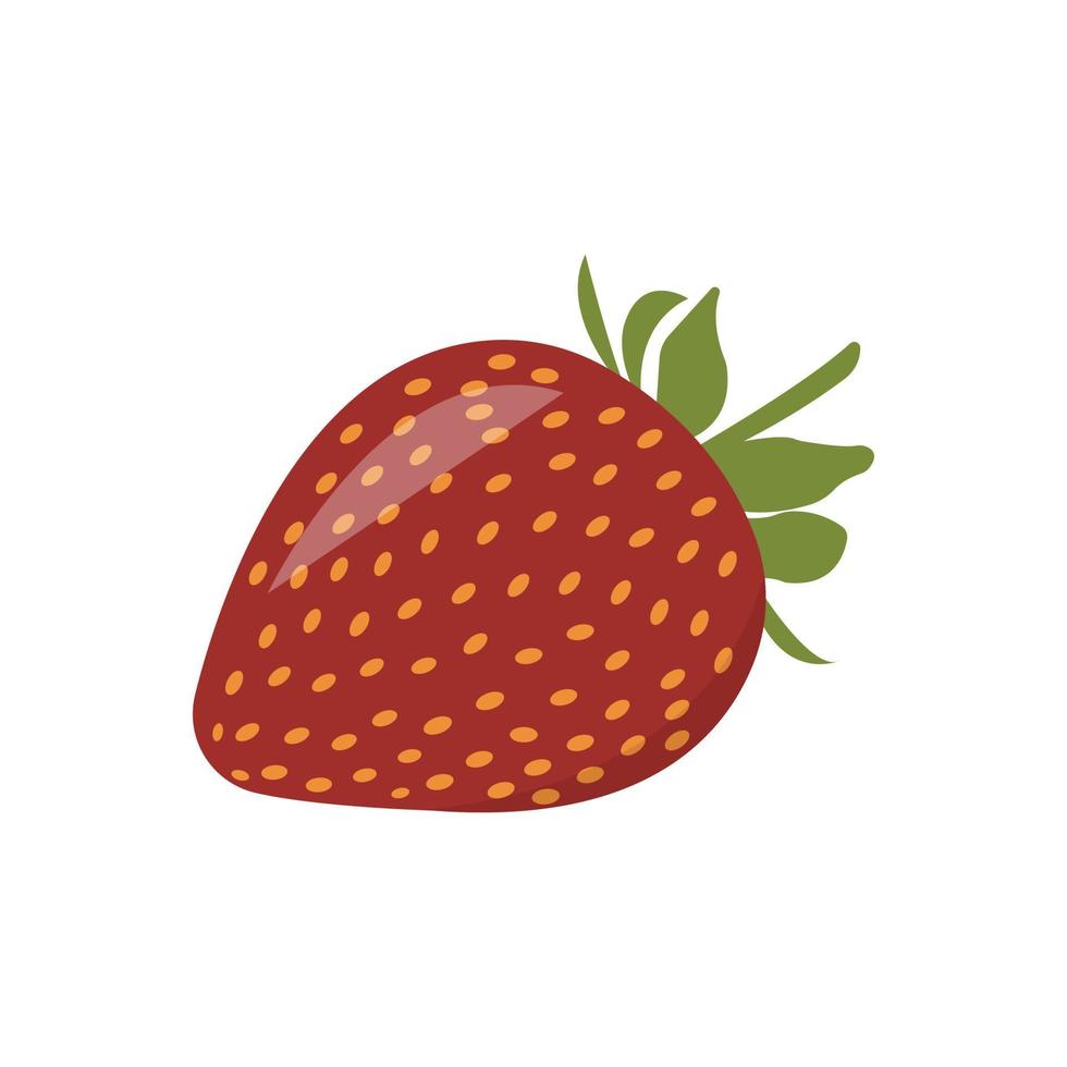 fresh strawberry illustration vector