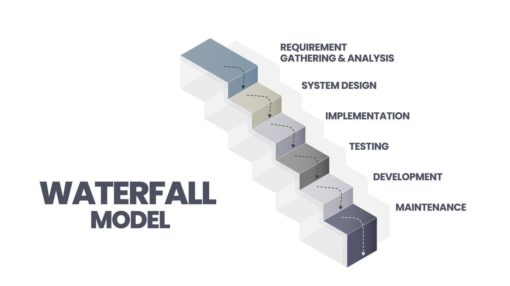 The waterfall model infographic vector is used in software engineering or software development processes. The illustration has 6 steps like Agile methodology or design thinking for application system