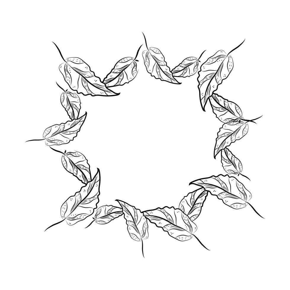 LINE ART LEAF AESTHETIC FLORAL vector