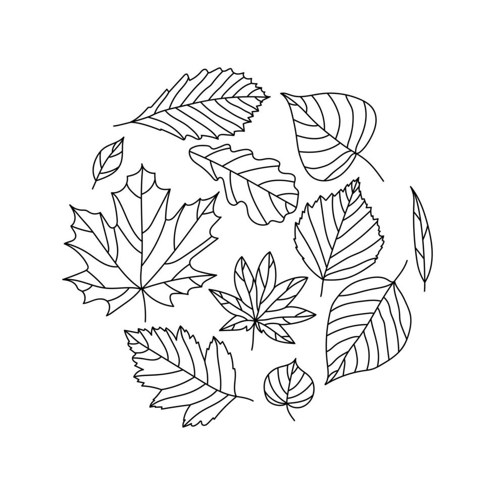 Linear set of drawn autumn leaves, black color, hand drawn, vector illustration isolated on white background