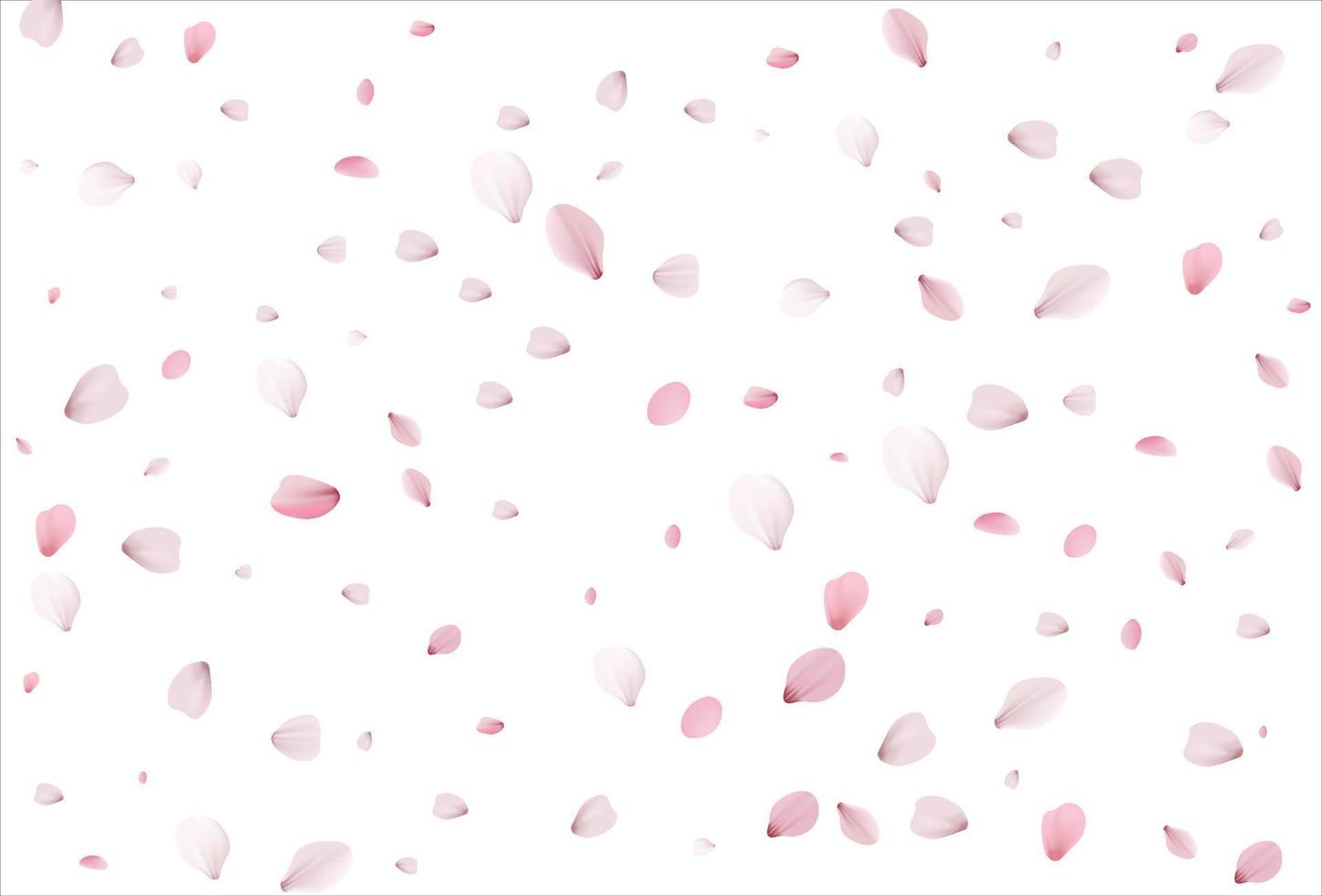 Sakura petals. Cherry petals backdrop vector