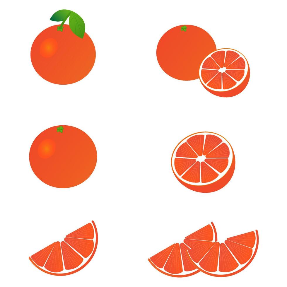 A set of grapefruit icons, food illustration vector