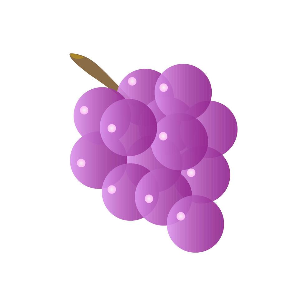 A grape icon, food illustration vector