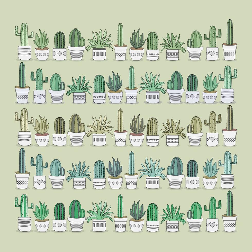 Set of colorful cactus plants. Vector illustration, cartoon. Isolated background. Perfect for patterns.