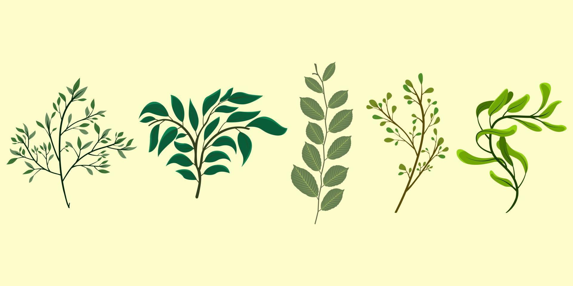 vector illustration of a collection of various types of beautiful tree stalks and leaves in