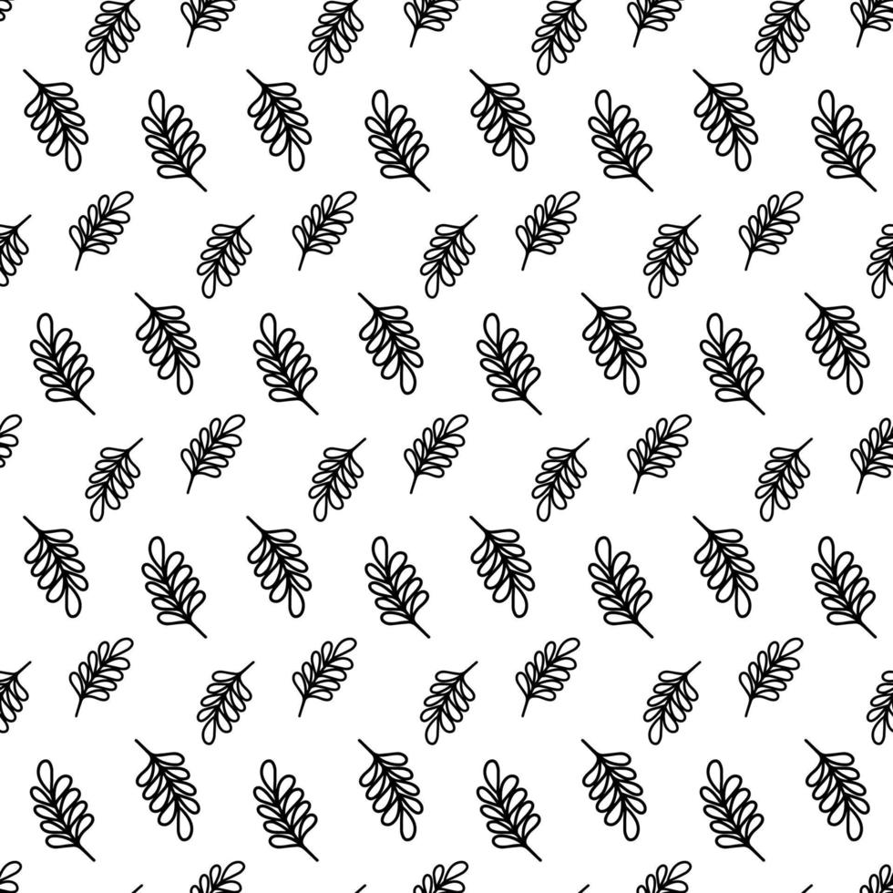 contorno vectorial dibujado a mano acacia tropical deja un patrón sin fisuras aislado en blanco. tinta hermoso adorno natural para tela, envoltura y textil. adultos y niños coloreando página en estilo garabato. vector