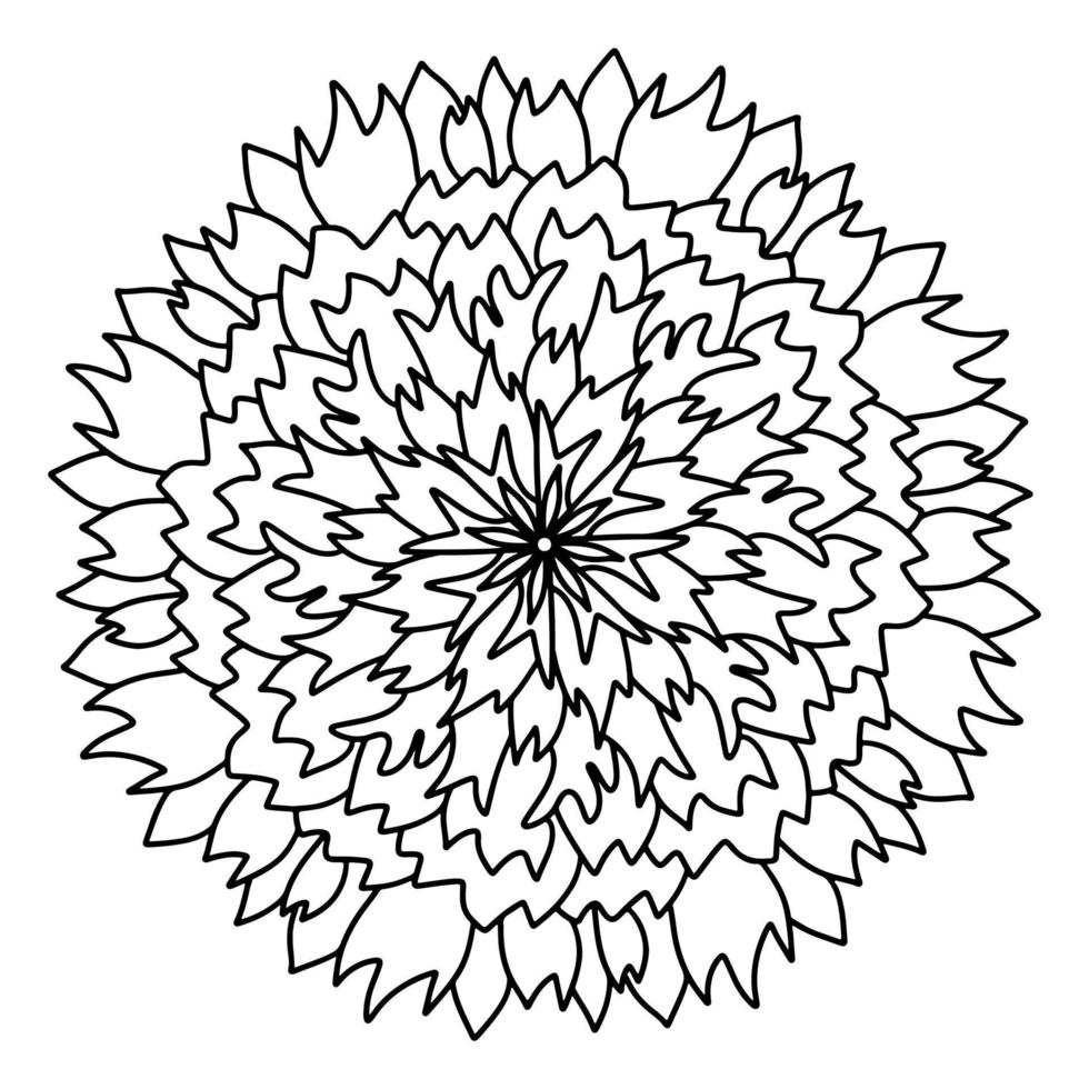 Floral, hand drawn aster mandala flowers in doodle style isolated on white background. Funny and cute coloring for seasonal design, textile, decoration kids playroom or greeting card. Chrysanthemum. vector