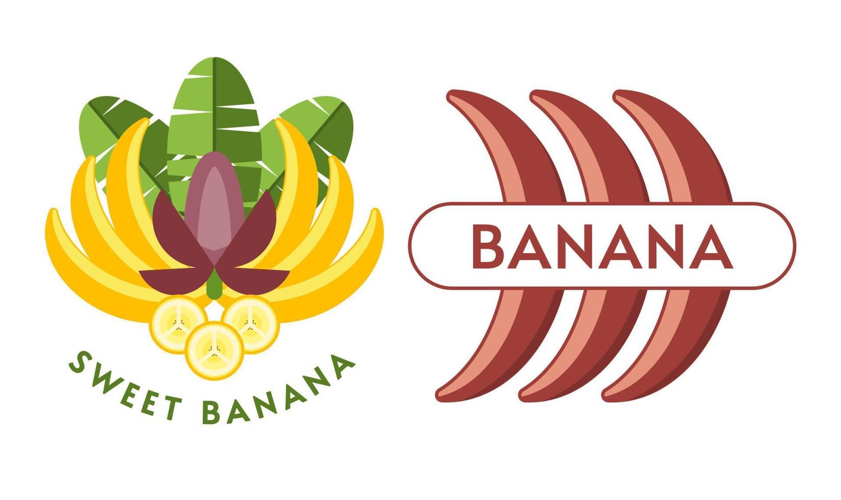 Set of logos, emblems, badges with yellow, red bananas, banana flowers, leaves, slices, bunch of bananas. Isolated vector illustration. Good for decoration of food package, creation of stickers
