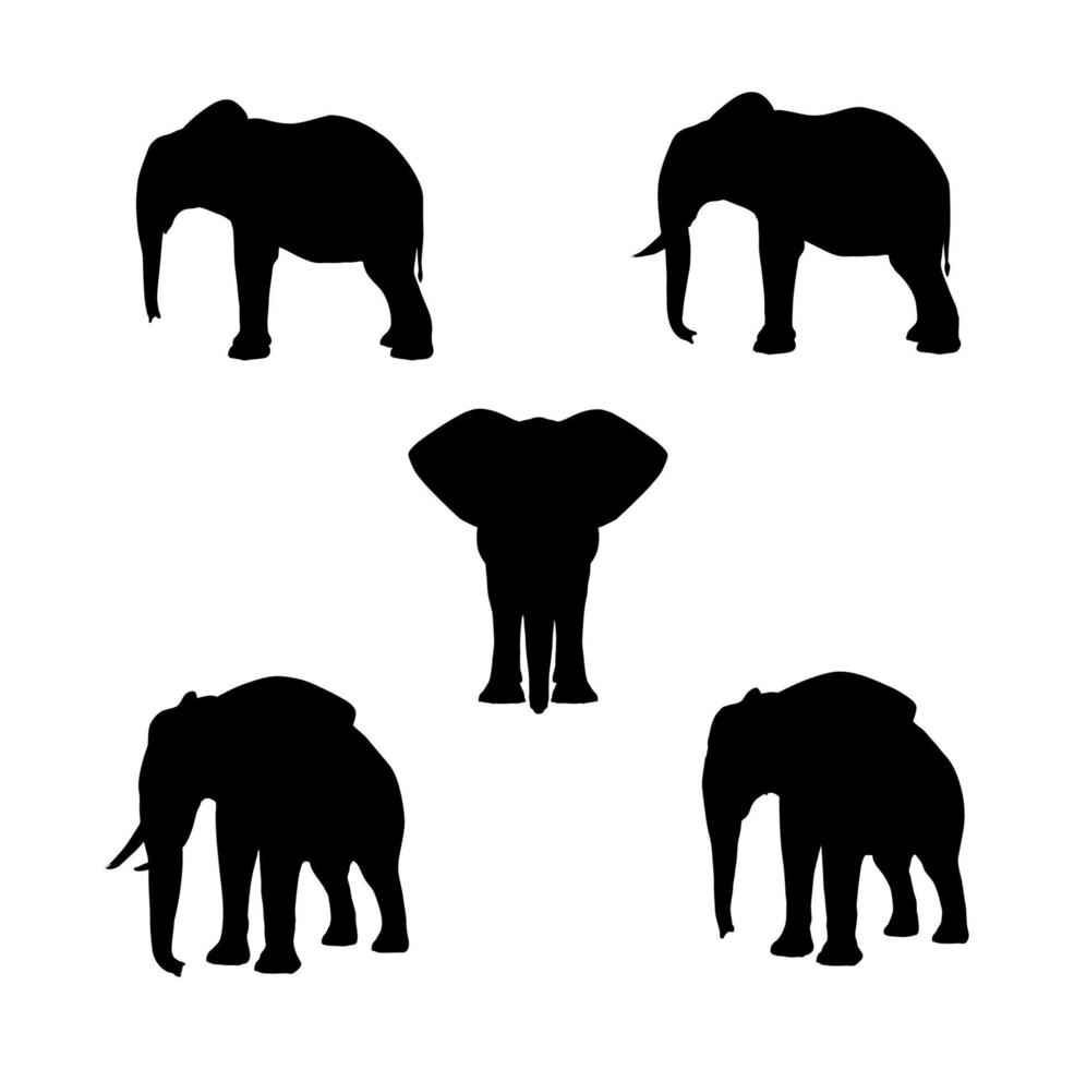 conjunto de siluetas de elefante vector