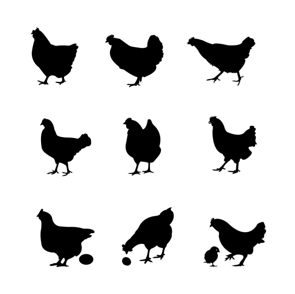 conjunto de siluetas de gallinas vector