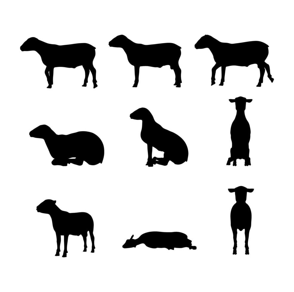 Set of black silhouettes of sheep vector