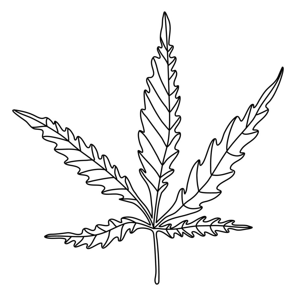 Doodle sketch hand drawn vector illustration of a cannabis leaf on white background. Isolated outline. Alternative medicine.