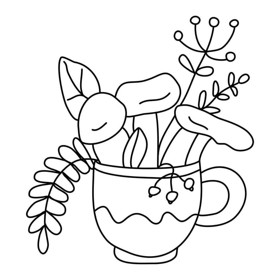 Nice mushrooms, leaves and herbs in a cute mug.Hand drawn vector illustration in doodle style on white background. Isolated outline. Autumn theme.