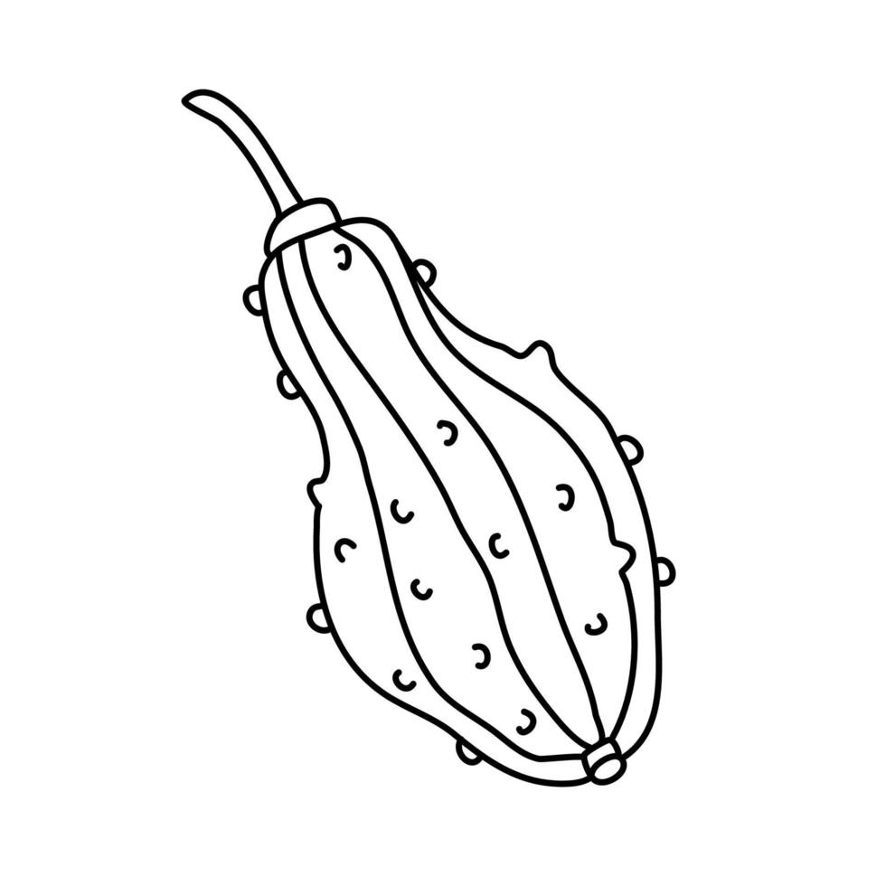 Warty or pimpled gourd in doodle style. Pear shaped pumpkin. Isolated outline. Hand drawn vector illustration in black ink on white background. Great for coloring books. Farming garden theme.