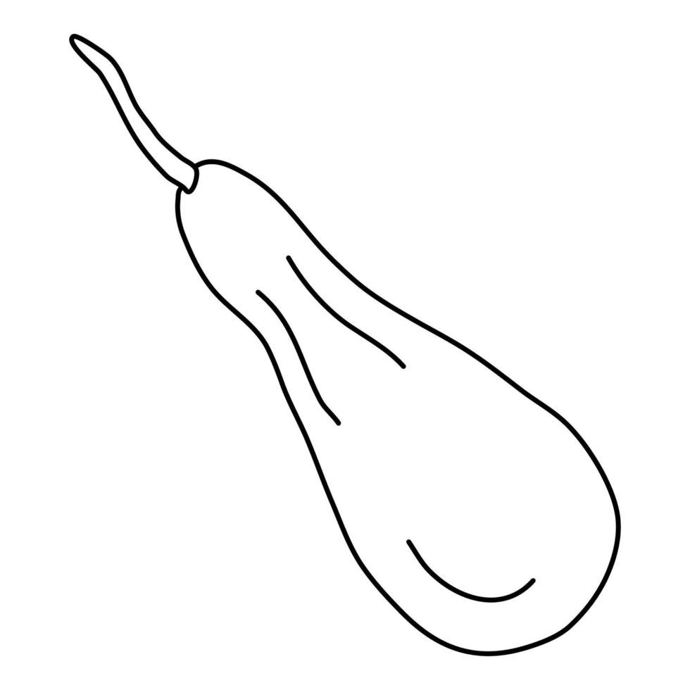 Pear shaped pumpkin in doodle style.  Isolated outline. Hand drawn vector illustration in black ink on white background. Great for  coloring books. Farming garden theme.