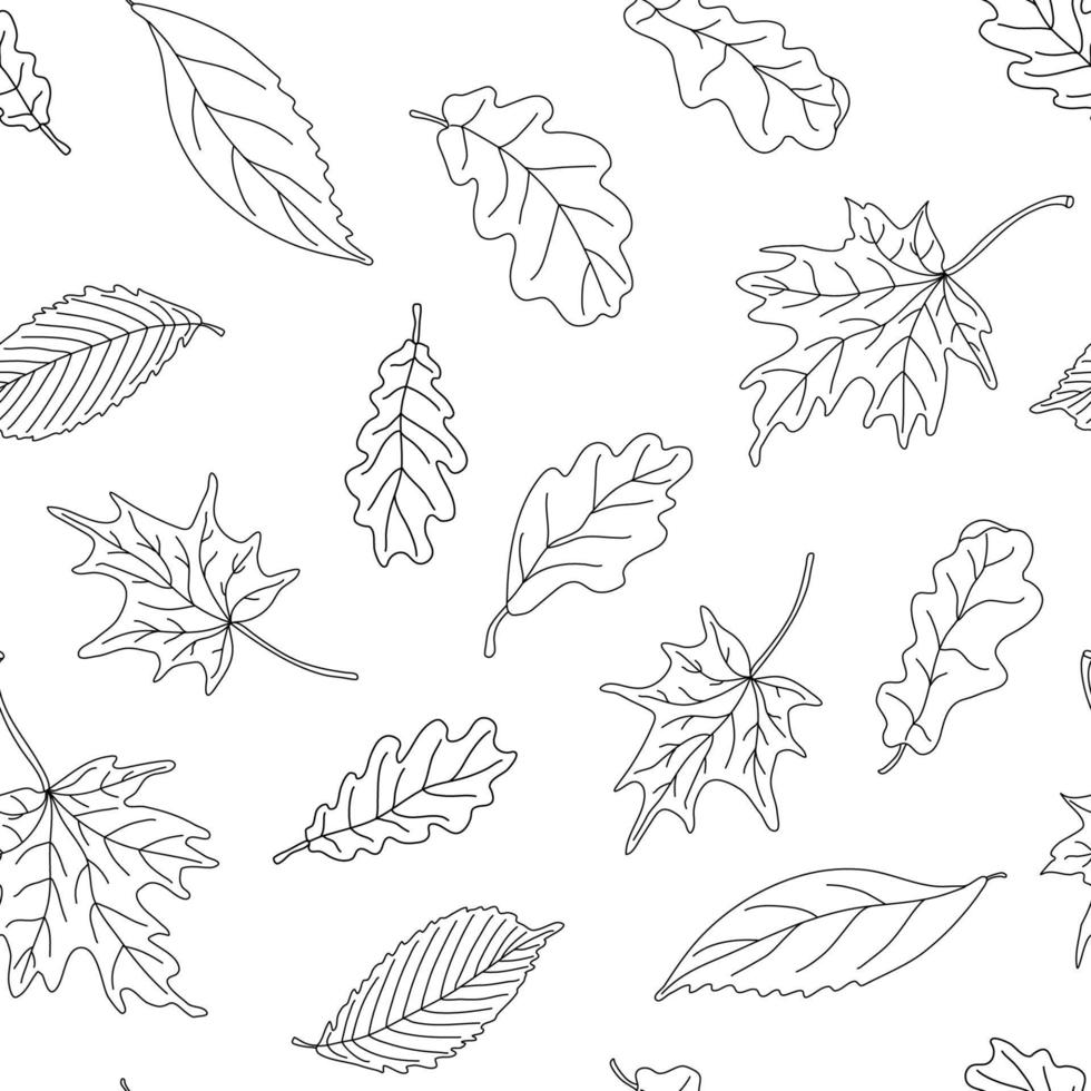 Autumn  seamless pattern with leaves on white background. Great for fabrics, wrapping papers, wallpapers, covers. Doodle sketch style illustration in black ink vector