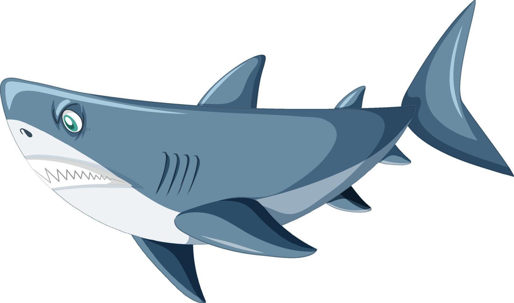 Aggressive great white shark cartoon vector