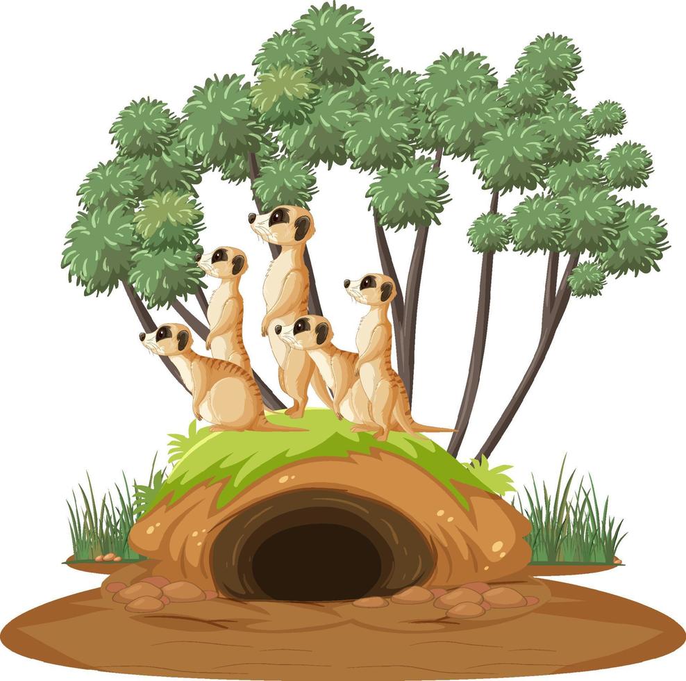 Group of meerkats with burrow in cartoon style vector