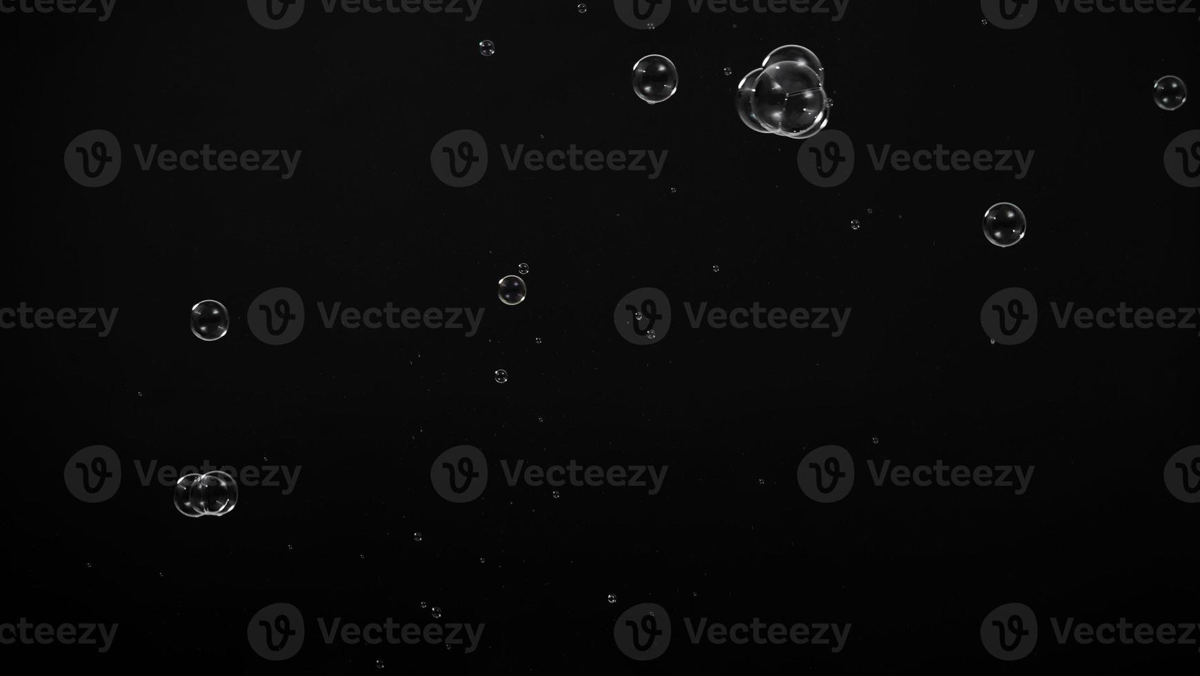 Soap bubble drop or Shampoo bubbles floating like flying in the air photo