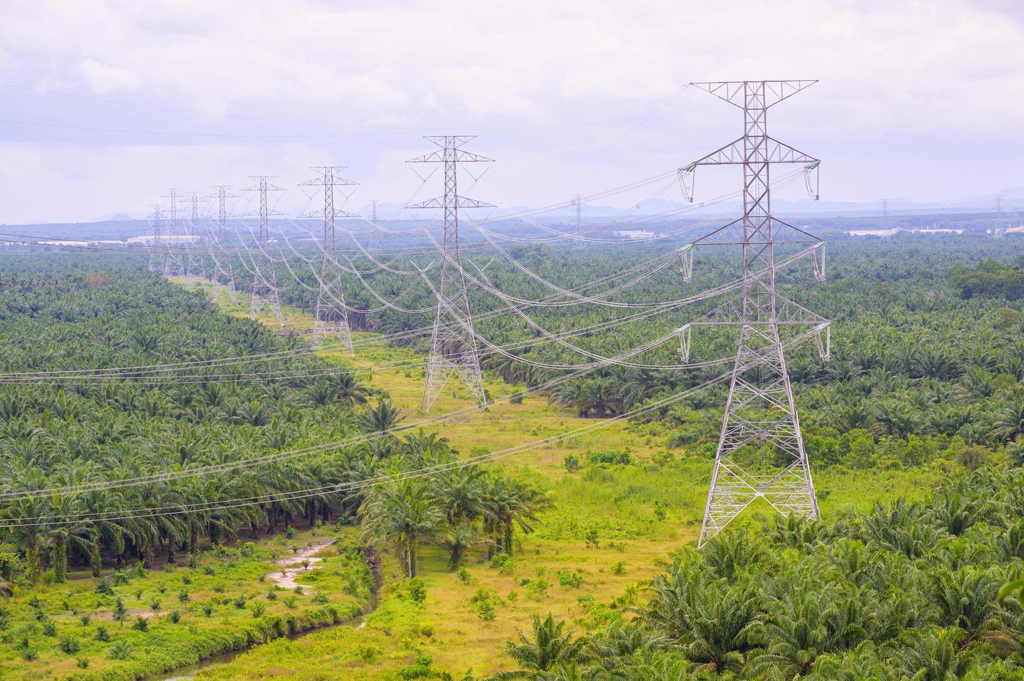 Poles for high-voltage power lines across agricultural gardens photo