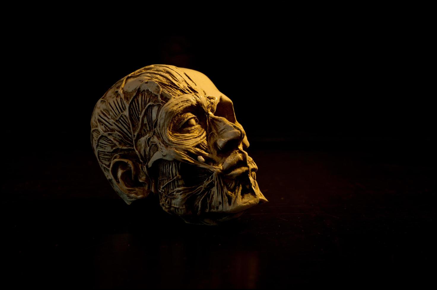 Still life art of a human skull on a black background photo