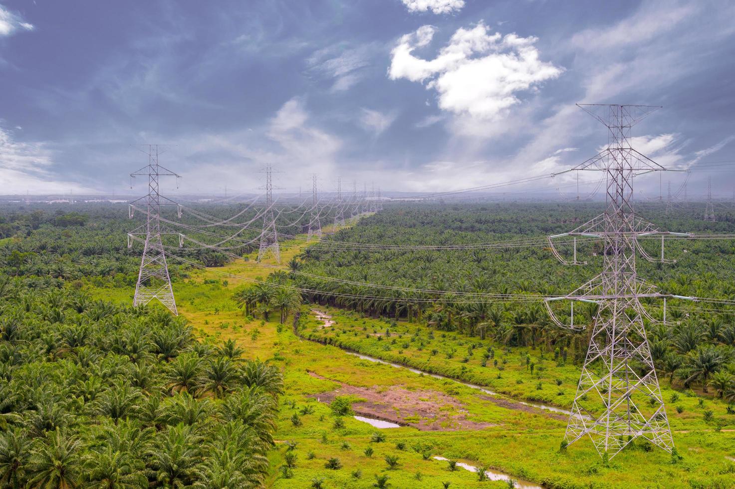 Poles for high-voltage power lines across agricultural gardens photo