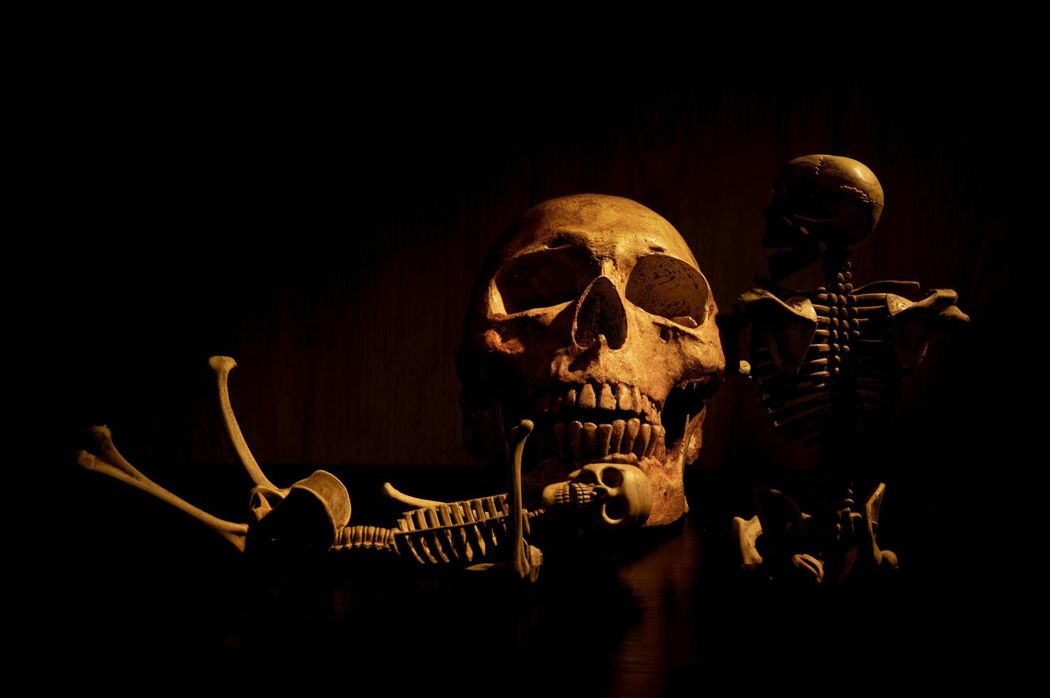 Still life art of a human skull on a black background photo