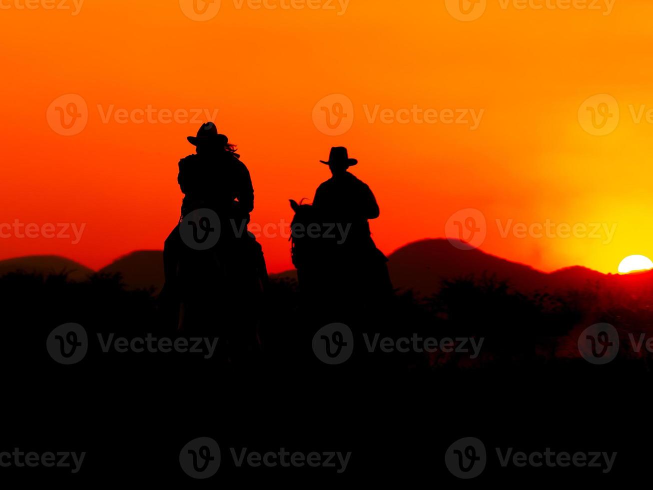 The Western Cowboy forced his horses to stop while the sun was setting, In lands where the law has not yet reached photo