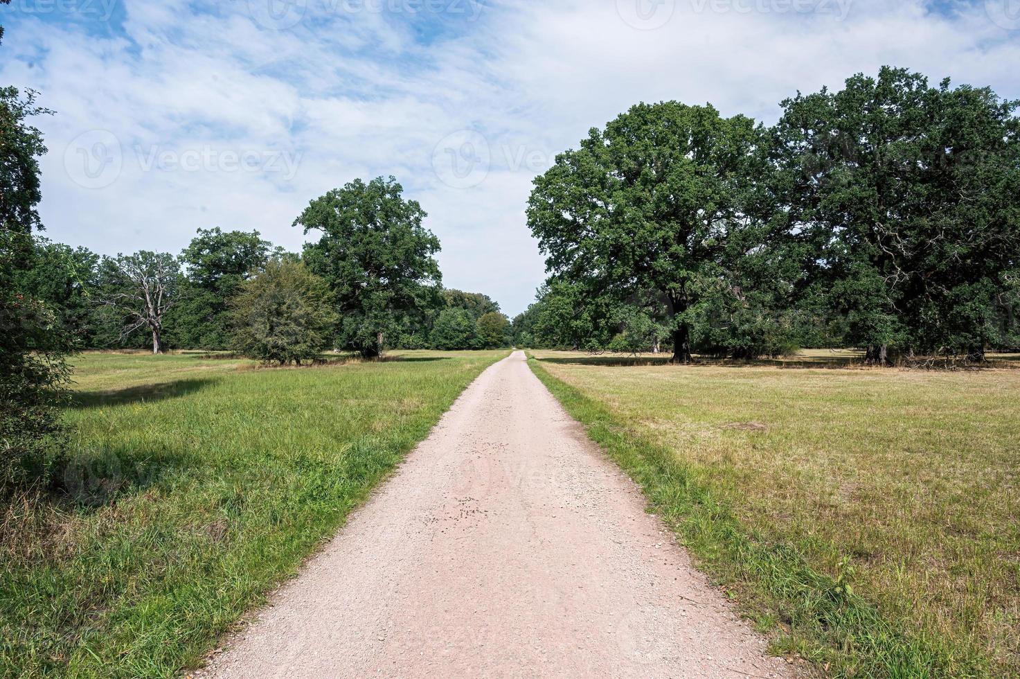 camino en un paisaje maravilloso foto