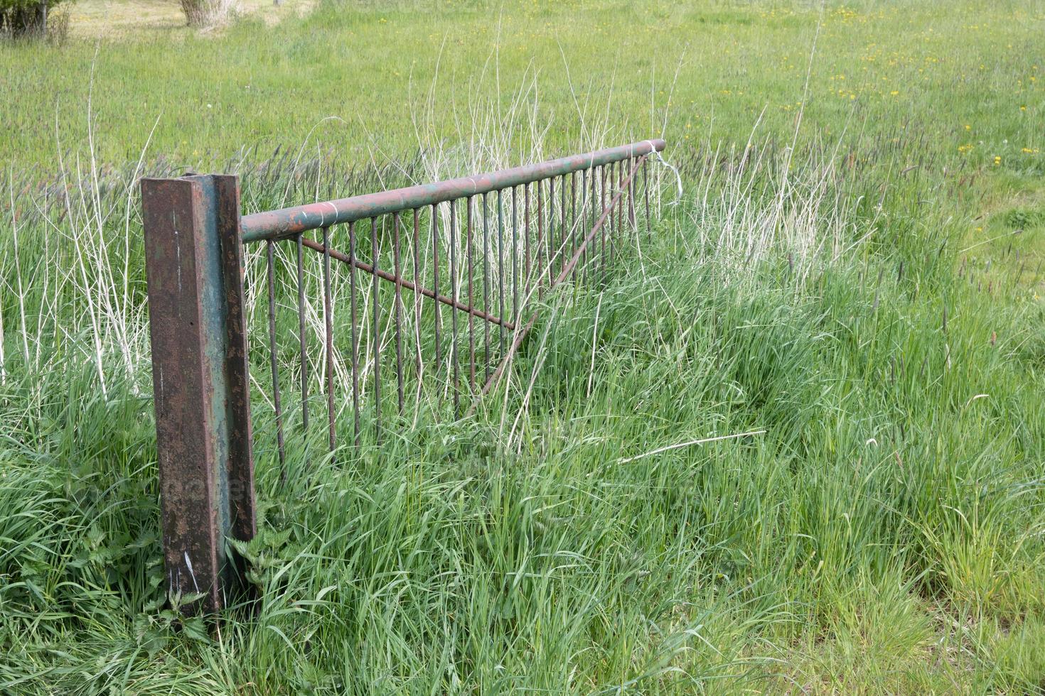 old gate in the meadow photo