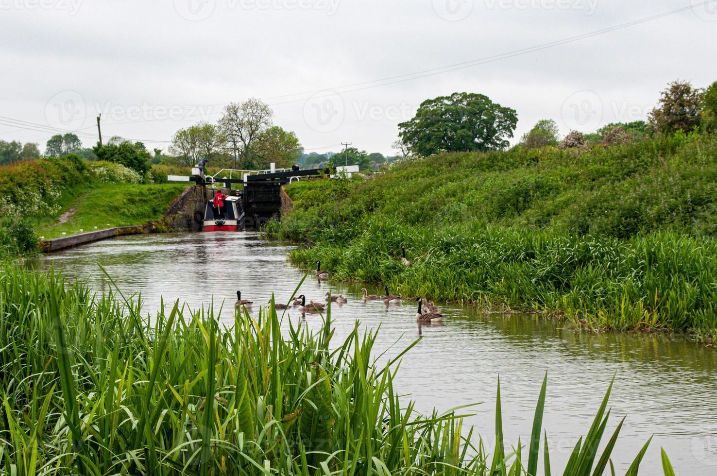 canal in green landscape photo