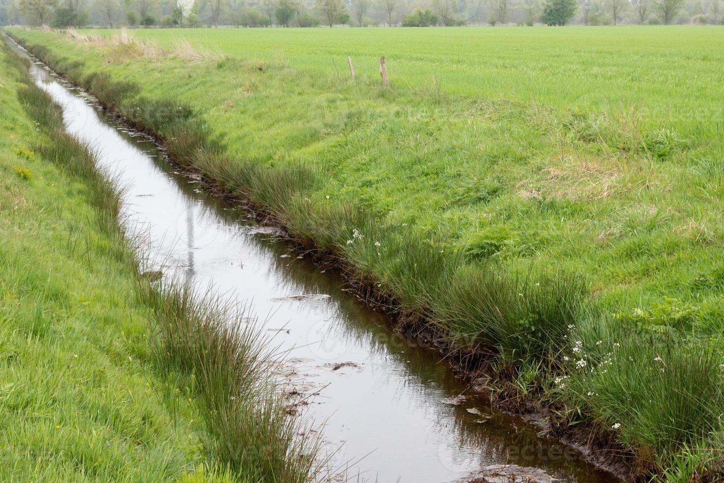 landscape with small river and meadow photo