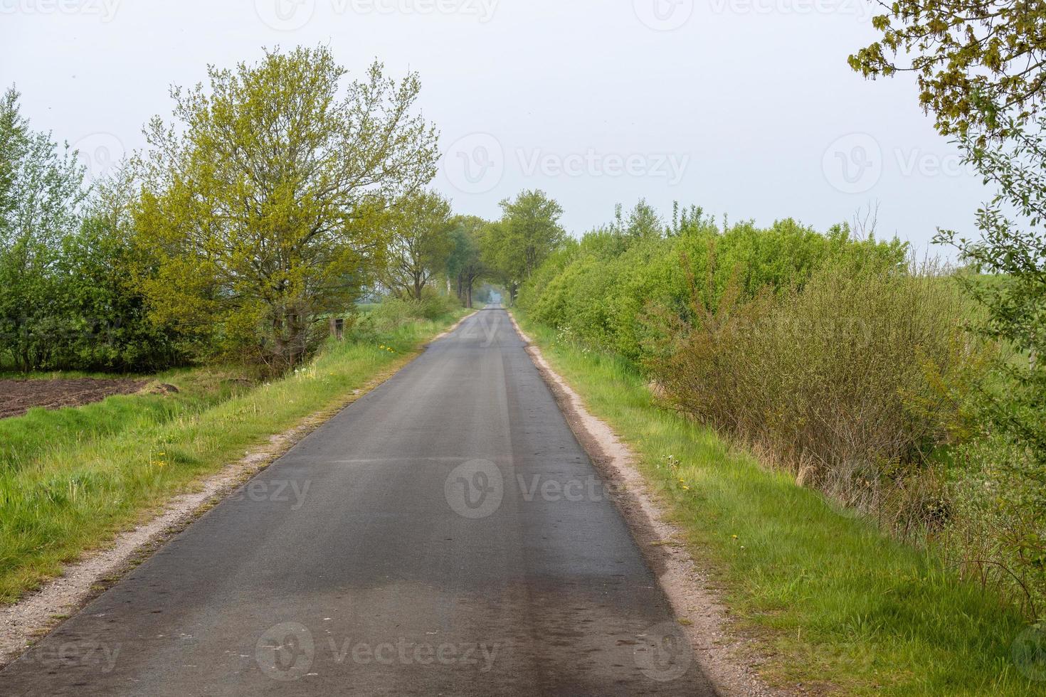 road in the countryside photo