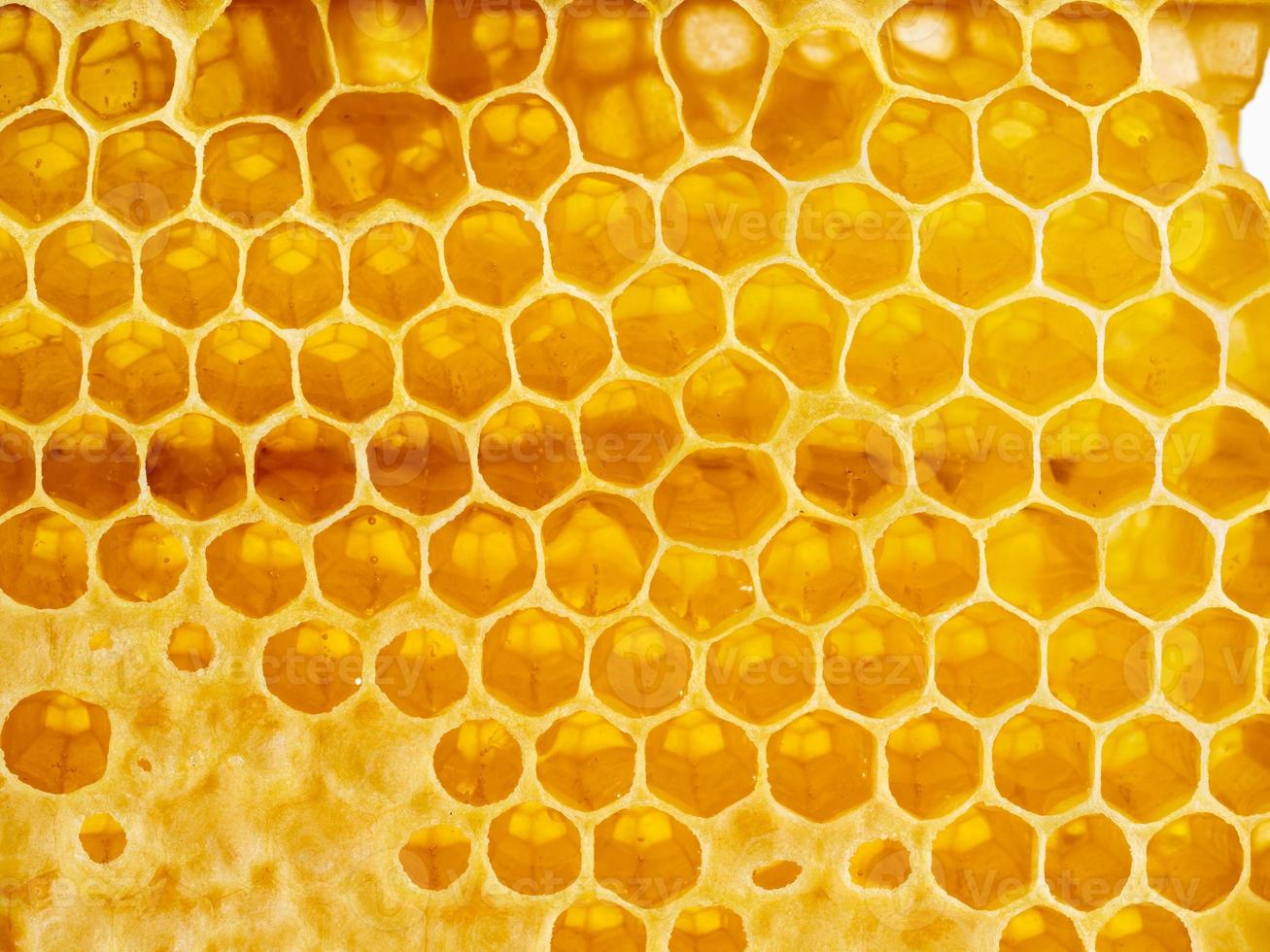 bee honeycomb closeup, fresh stringy dripping sweet honey, macro background photo