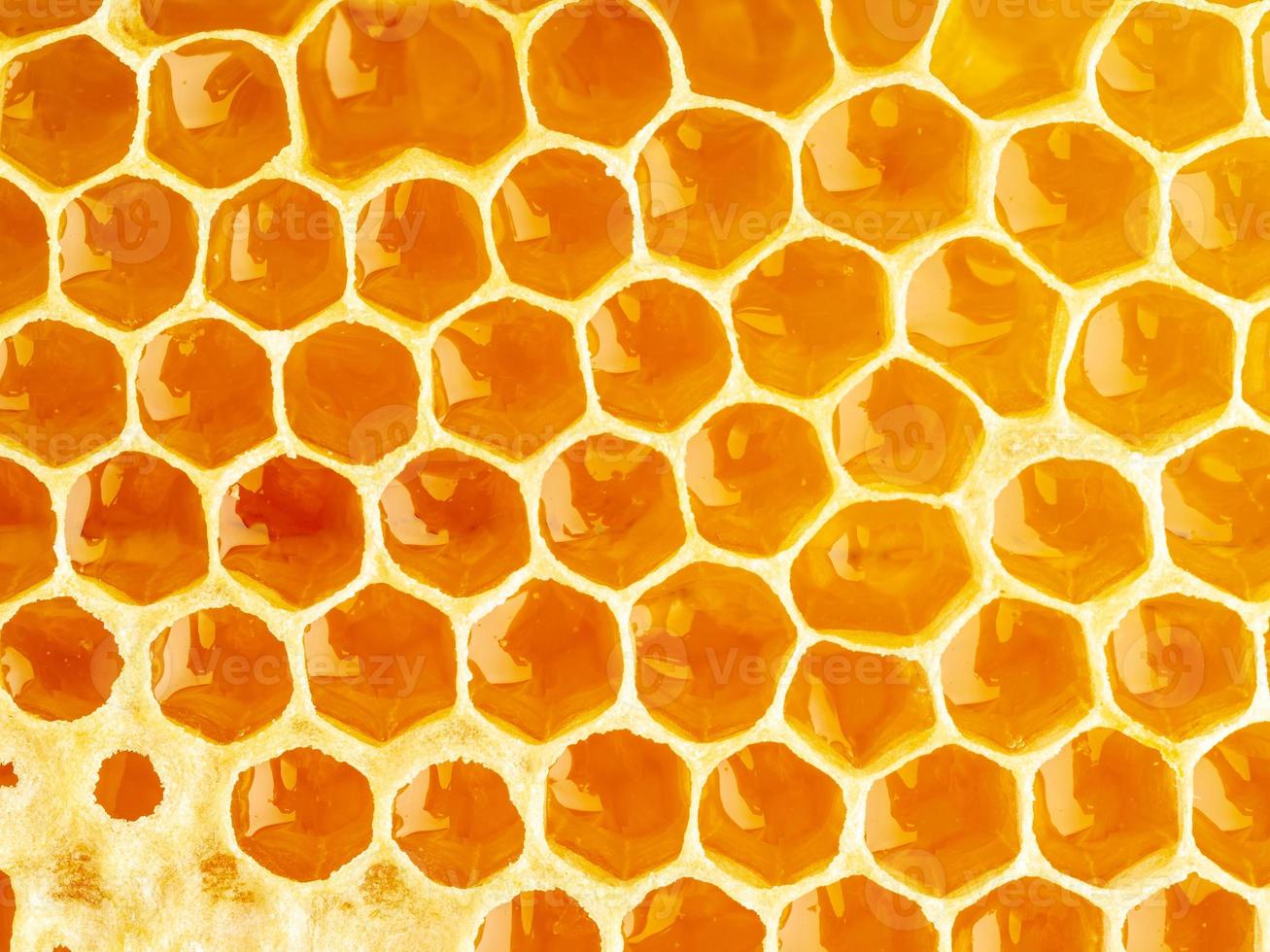 primer plano de panal de abeja, miel dulce goteante fibrosa fresca, fondo macro foto