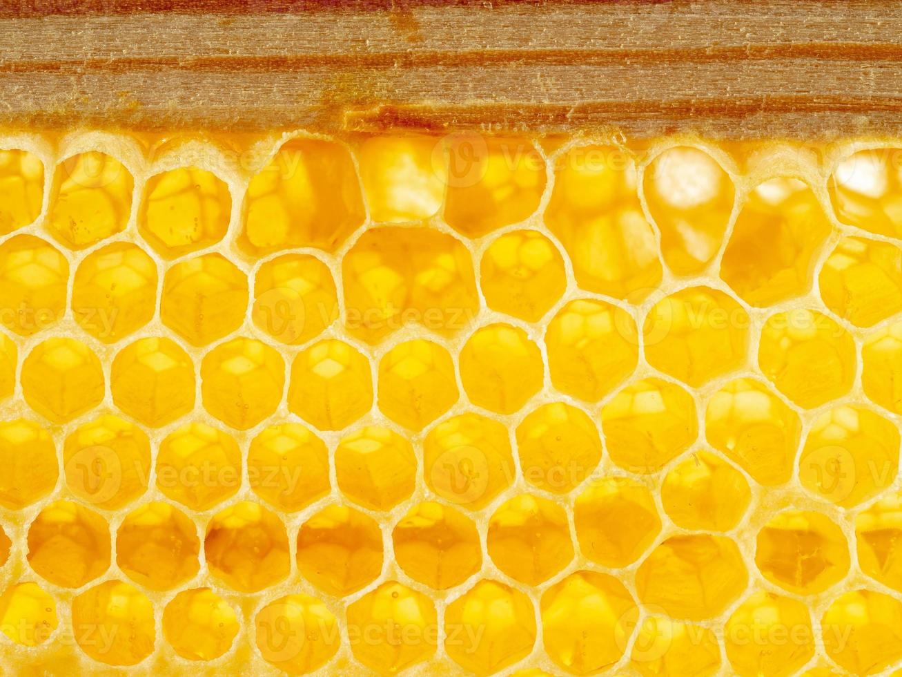 primer plano de panal de abeja, miel dulce goteante fibrosa fresca, fondo macro foto