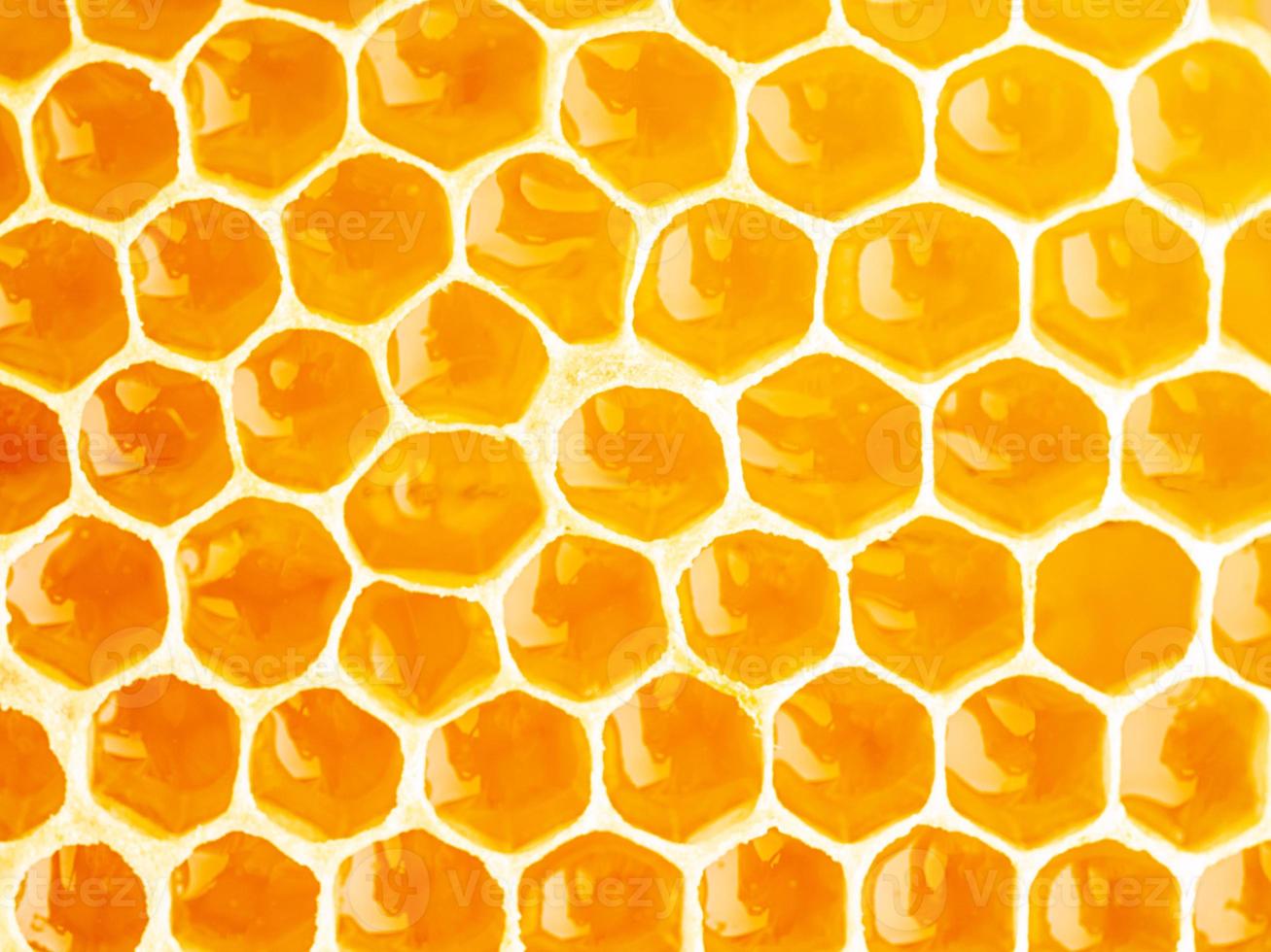 bee honeycomb closeup, fresh stringy dripping sweet honey, macro background photo