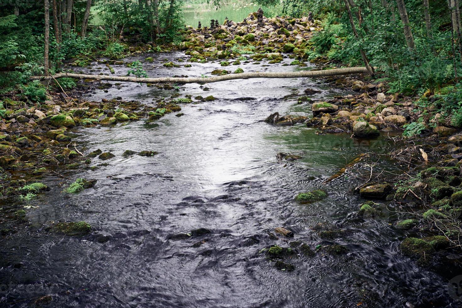 water flow in the Northern forest in Karelia photo