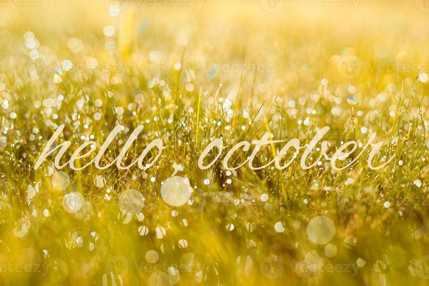 Autumn, fall banner with greeting Hello October, golden field with meadow grass, in sunset rays photo