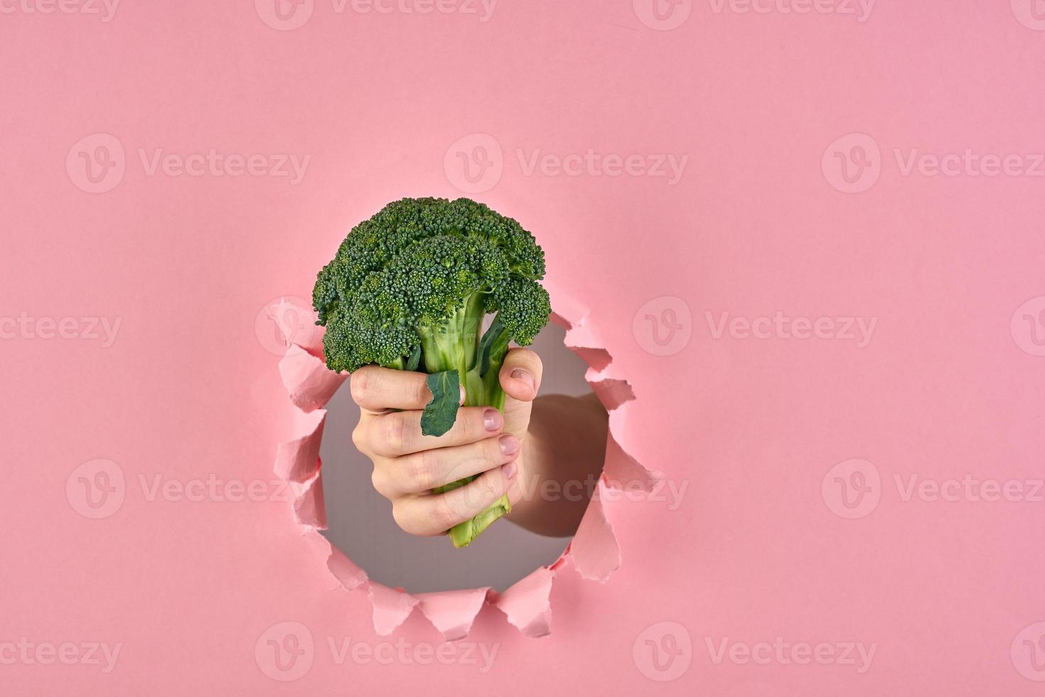 The idea of making decision for healthy lifestyle, broccoli as a sign of wellness on pink background with a ripped hole, closeup photo